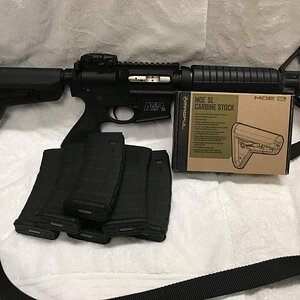 S&W MP15 Sport.jpg