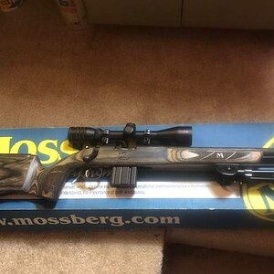 mossberg facing right.jpg