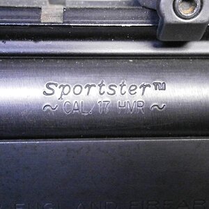 P4100004.JPG