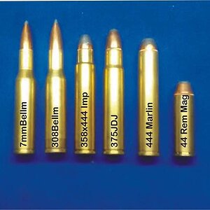 444 Family w  44 mag sm.jpg
