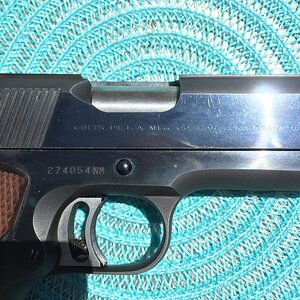Colt Right Side.JPG