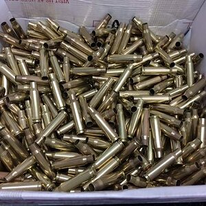 308.JPG