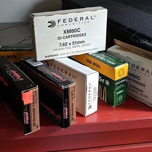 308 Ammo.jpg