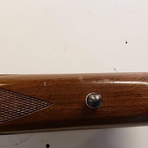 20181124_120932.jpg