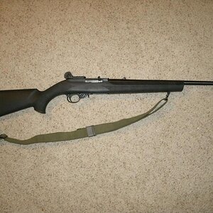 GEDC1134.jpg
