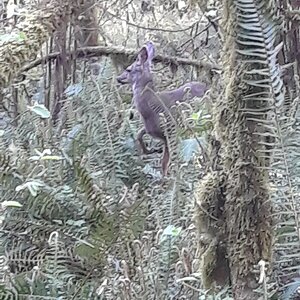 20180426_092519.jpg