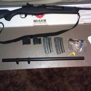 mini 14 4.jpg