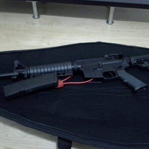 mp15.jpg