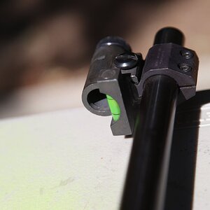 IMG_0007.JPG