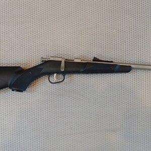 C's Henry Mini bolt.jpg