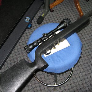 IMG_0339.jpg