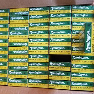 20191005_153021.jpg