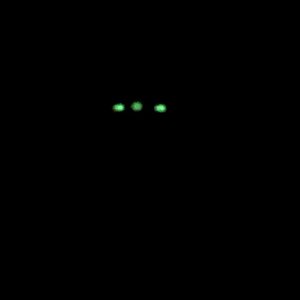 4AD83009-E5D2-485E-AE0B-22871CABB95D.jpeg