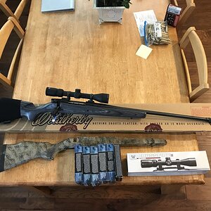 WEATHERBY.jpeg