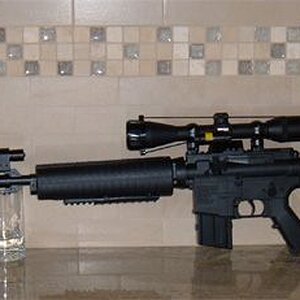 Pellet-1 copy.jpg