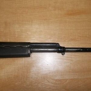 sks_1.jpg