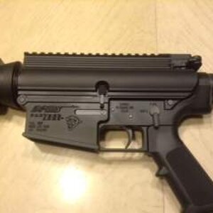 gun4.JPG