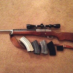 ruger 5.jpg