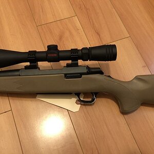 A Bolt for sale (3).JPG