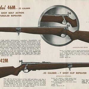 Cat1946-04.jpg