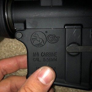 Colt.jpg