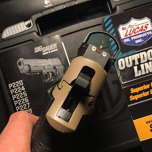 p2262.jpg