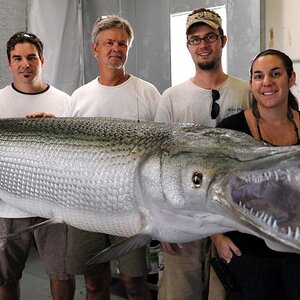 Completed327poundAlligatorGar.jpg