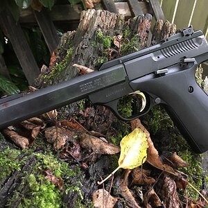 BuckmarkNewGrips.jpg