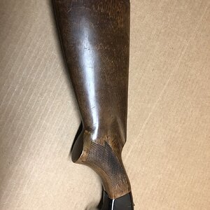 20ga 4.jpg