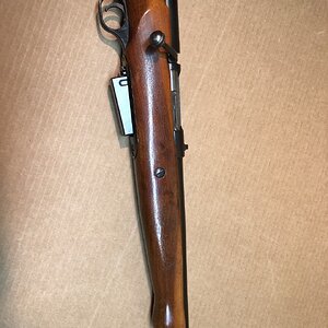 16ga 5.jpg