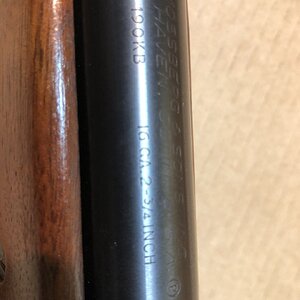 16ga 8.jpg