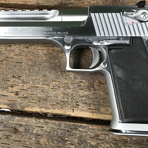 Deagle2.jpg