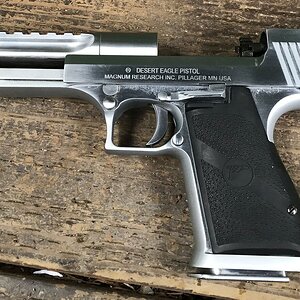 Deagle4.jpg