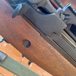 IMG_0870.jpg