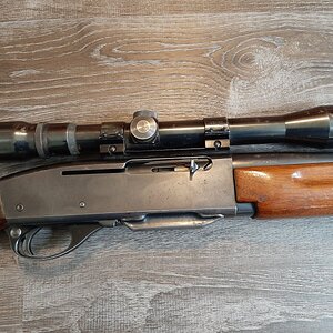 20200328_130000.jpg