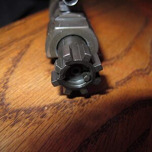 BCG 1.jpg