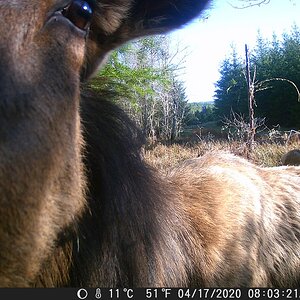 DSCF0585.JPG