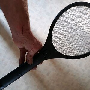 electric racket.jpg