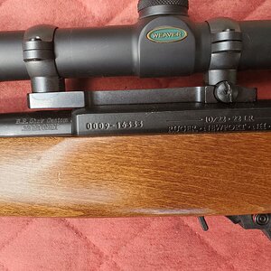 scope rings.jpg