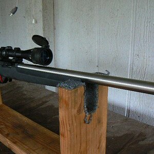 Ruger 1022 target 2.JPG