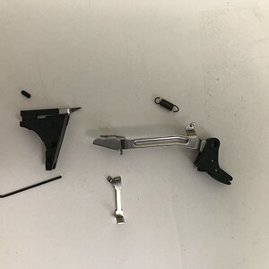 LWD Enhanced Trigger.jpeg