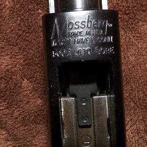 shotgun5.JPG