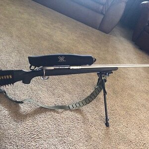 .300 -4.jpg