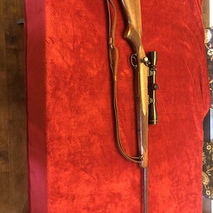 Winchester Model 70.5th.jpg