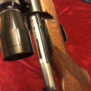 Winchester Model 70.6th.jpg