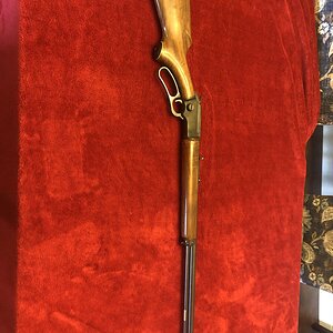 Marlin 4.jpg