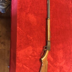 Marlin 5.jpg