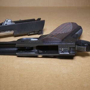 guns 025.JPG