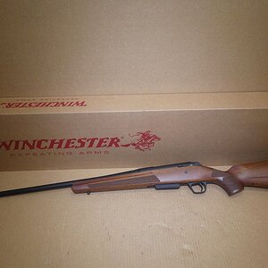 guns 037.JPG