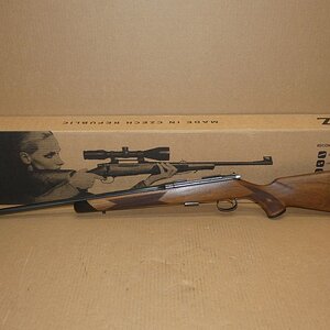 guns 154.JPG